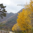 농암민박 이미지