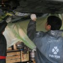 더트리톤 이미지