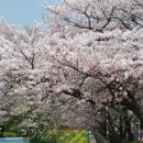 장복산길 이미지