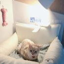 백호동물병원 이미지