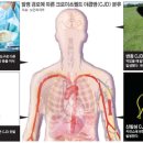 프리온 이미지