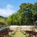 꿈 나빌레라(C반) | W2. 베뉴 확정! 2027년 서울 공공예식장 북서울꿈의숲 예약 신청 성공&amp;들꽃웨딩 방문 상담 후기(견적 포함)