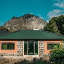 퐁낭아래 이미지