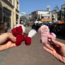 나의 감정 모루인형 만들기 | 경기 광주 놀거리 데이트로 커플 모루인형 만들기