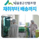 울릉군산림조합