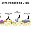 아침약국 이미지