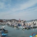 북항선착장 이미지