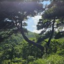 8월의 성지순례 영천 - 보현산 거동사 (普賢山 巨洞寺)1 이미지