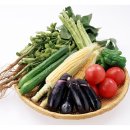 좋은야채 이미지