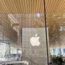 서13-401 |  애플 미시간 애비뉴 아이폰17 워크인 구매후기✨ / 세이지, 라벤더