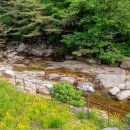 산중펜션 이미지