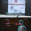 생로병사의 비밀 "유기농 식탁 보고서" 이미지