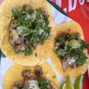 솔비네김밥 이미지