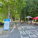 마사이 - 15548 | 2026 선양 마사이마라톤 계족산 맨발마라톤 13km 참가 후기