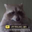 아리랑광고 - 익산시 | [원주] 원주 보쌈 맛집 만배아리랑 무실점 방문후기