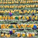 남성축산