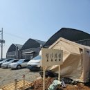 꽃사랑화원 | 일산 법곳동 월간화원 후쿠시아, 스트렙토카르푸스, 엑스칼리버 구입 후기