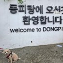 동피랑 벽화마을 공중화장실 | 통영여행 코스 동피랑 벽화마을에서 애견동반 산책하고 인생네컷 찍기