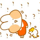 앙갤러리 카페 이미지