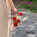 메르시플로라(Merci Flora)