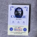 인간관계론 | 데일 카네기 인간관계론 책 내용 어떤지 리뷰 후기 살짝 알려드려요.(자기계발서 추천)