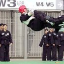 707특공무술