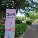 6월장미 안산 노적봉폭포 장미공원 장미종류 하이브리드드종 축제 행사 개화시기