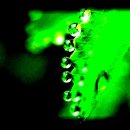 희망의 꿈 이미지