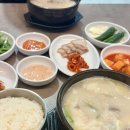 대도교통(주) | 부산대역 국밥 장전동 돼지국밥 맛집 진경가마솥 돼지국밥 특모듬국밥 후기