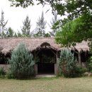 한인농장 이미지