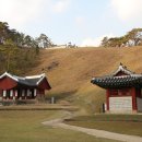 단종로 티스토리