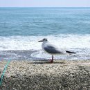 전촌1리 이미지