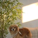 수수스튜디오 이미지