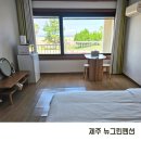 표선리-4 | 제주 표선해수욕장 1분 거리 숙소 뉴그린펜션 내돈내산 후기