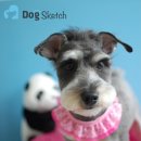 도그스케치 이미지