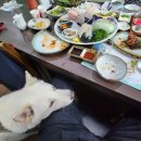 강릉 맛집 소개, 머구리 횟집 회맛~~~~~ 이미지