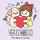 댕며들개 이미지