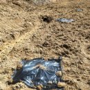 성포농장 이미지