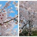 한남각모텔 이미지