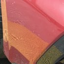 (주)에스레볼루션 | 나노아이코닉 나노라떼 유리막시공 작업후기☺️