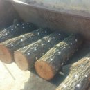 봄맞이 표고농장 이미지