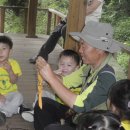 서상초병설유치원 이미지