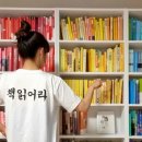 선미언니