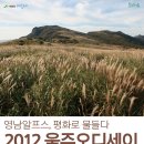 울주오디세이 티스토리