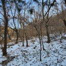 신원동-28 이미지