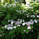 월정사 화장실 이미지