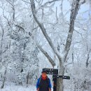 국립공원 태백산 문수봉 눈산행 ( 대구 산향산악회 ) 이미지