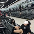 단풍나무짐 이미지