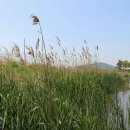 파크테크 이미지