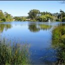 늘처음처럼 이미지